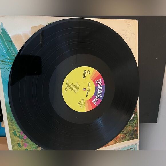VINTAGE DISNEYS FAMILY REUNION LP 12” SOUNDTRACK W SING ALONG BOOK VINYL RECORD - Picture 7 of 7